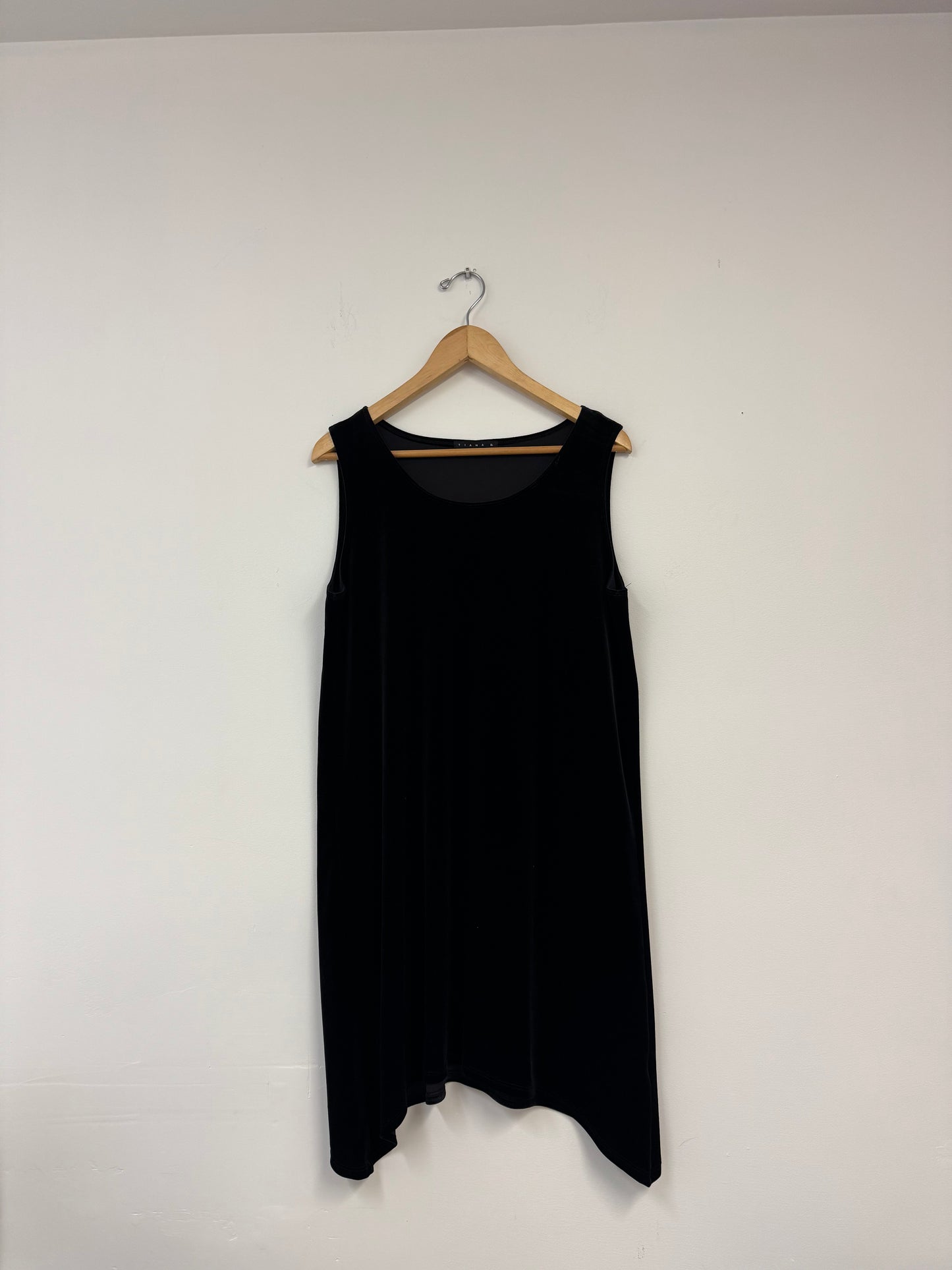 Tiana B Velvet Sleeveless Dress