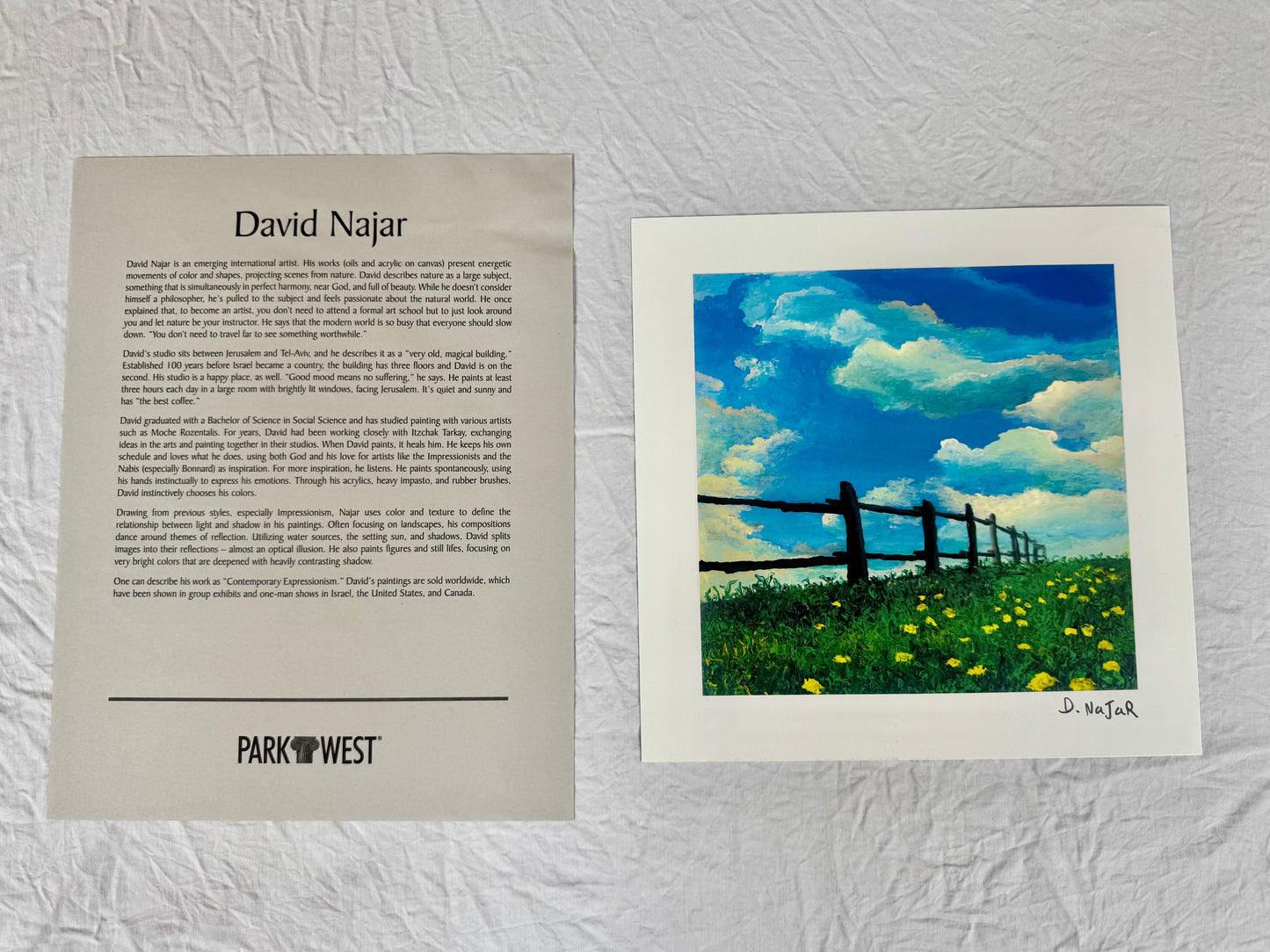 David Najar "Fence Line" 2013 7"x7" Art Prints