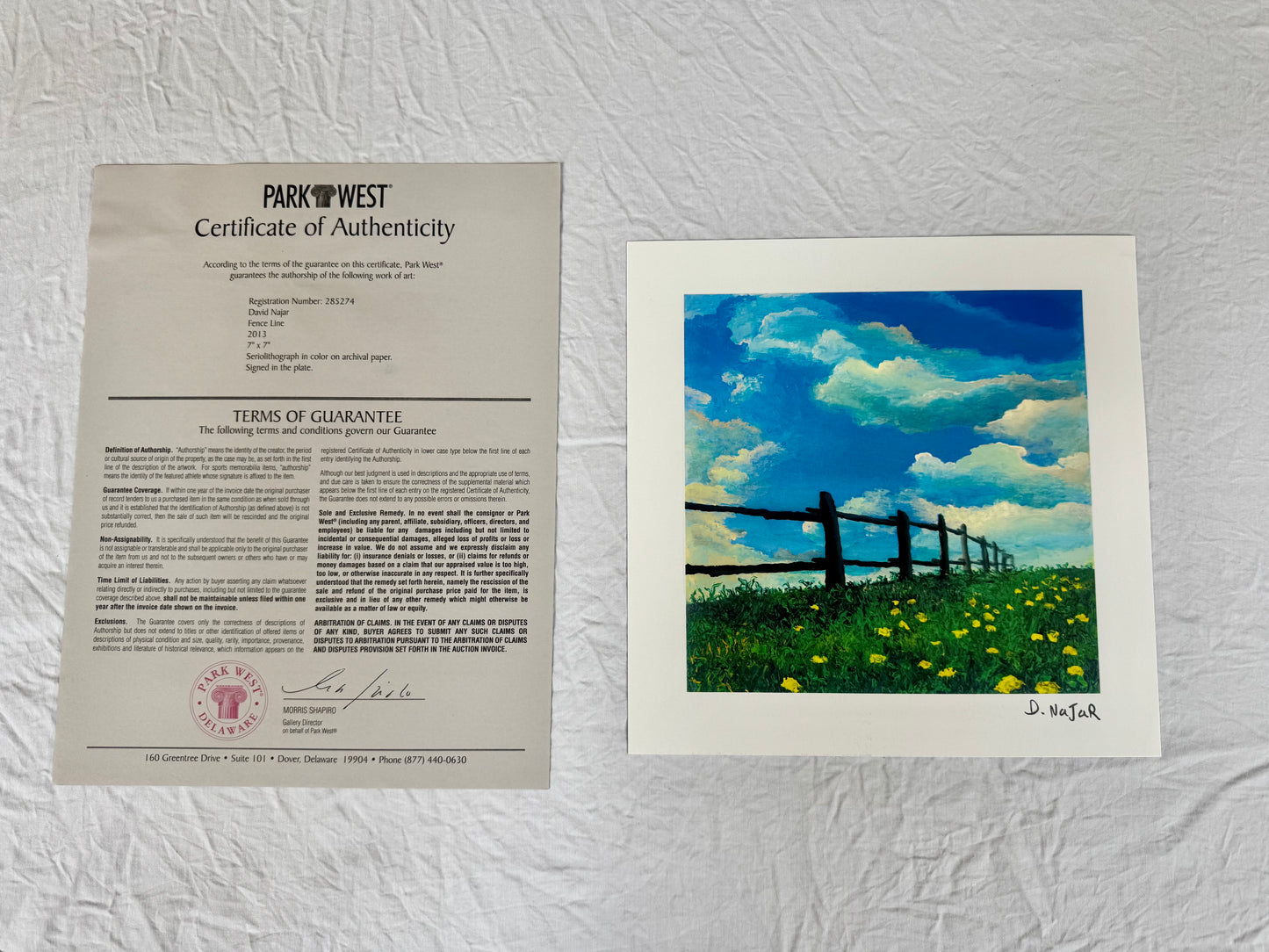 David Najar "Fence Line" 2013 7"x7" Art Prints
