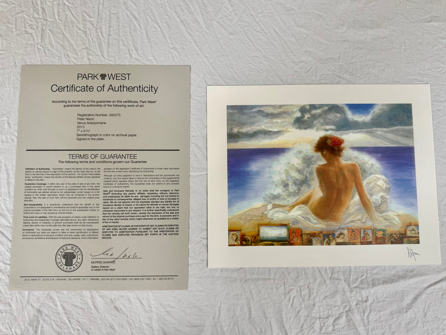 Peter Nixon "Venus Anadyomene" 2013 7"x9 3/8" Art Prints