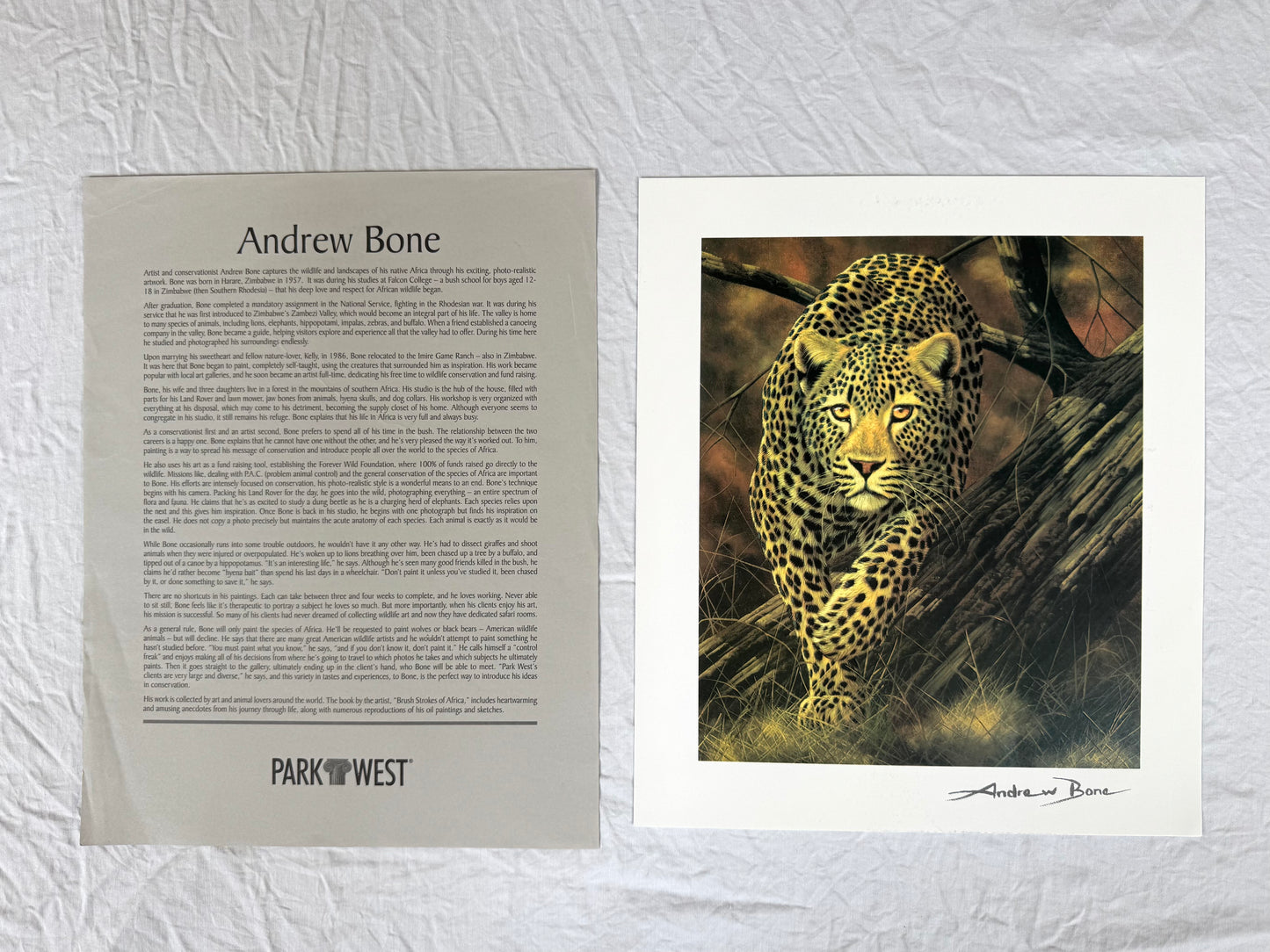 Andrew Bone "Silent Stalker" 2013 8.5"x7" Art Print