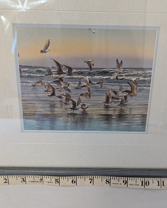 Gordon Henschel Framed and Signed Seagull Art Print