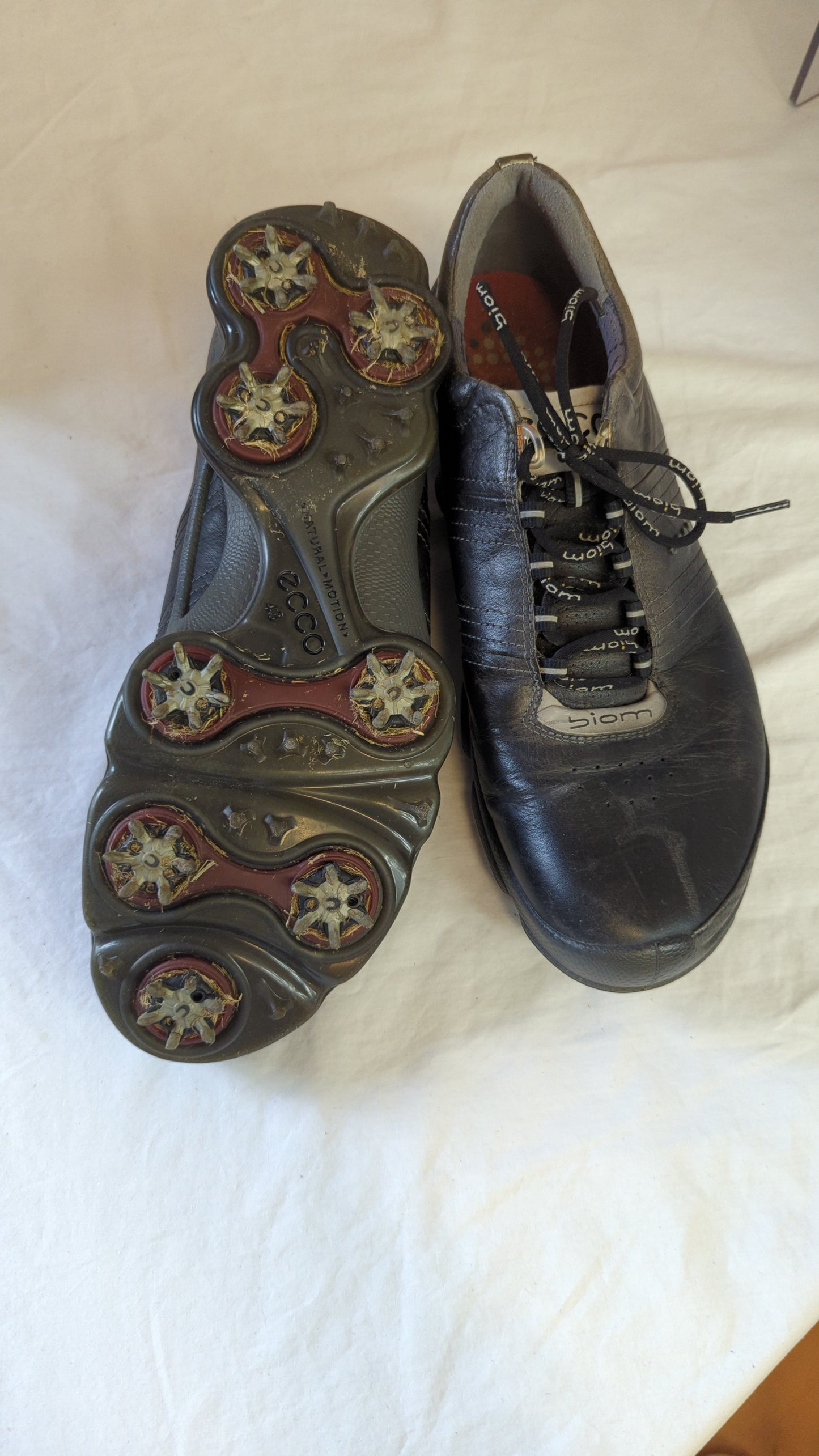ECCO Biom Leather Walking Shoes
