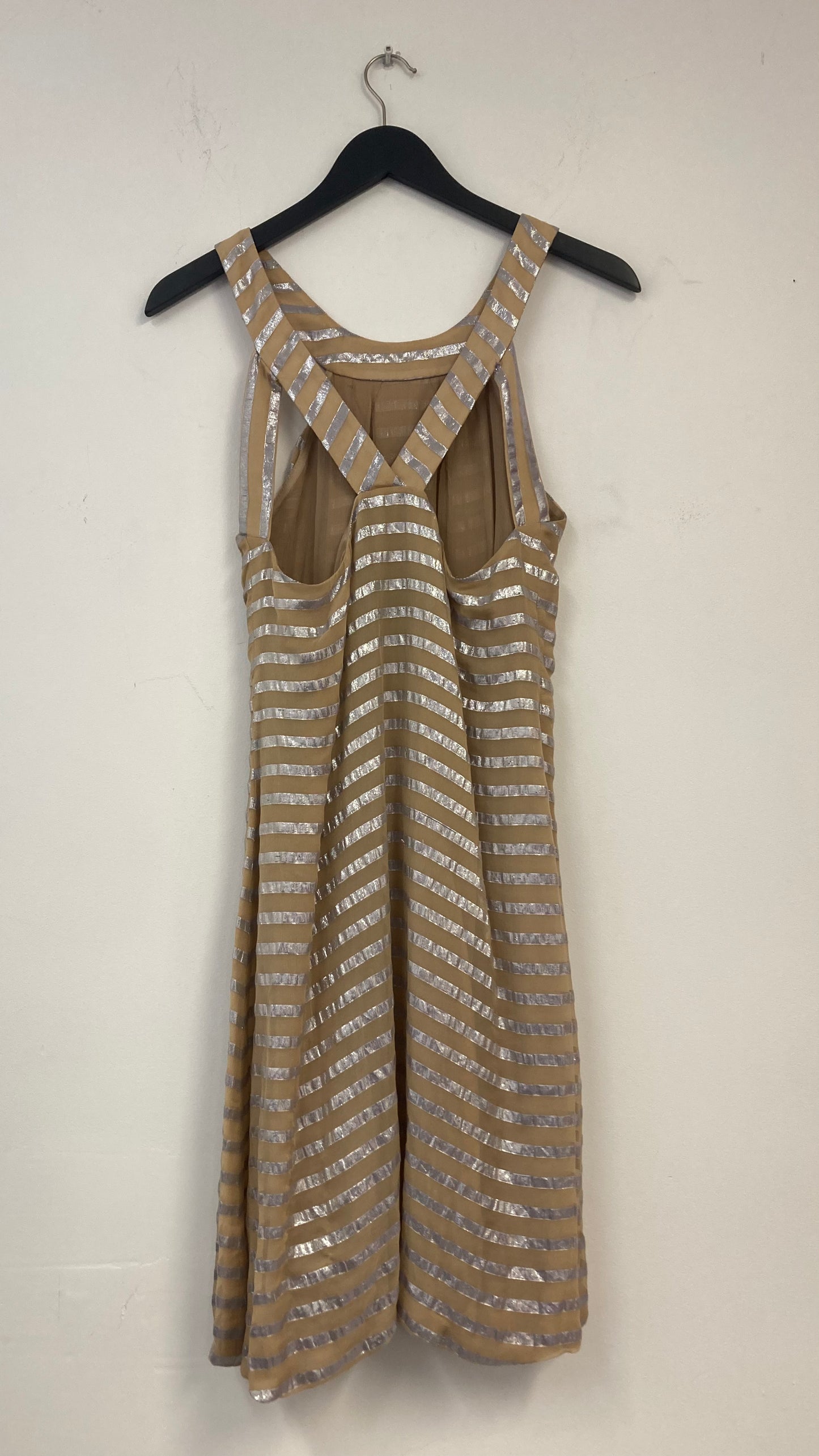 Nude and Silver Stripped Dress