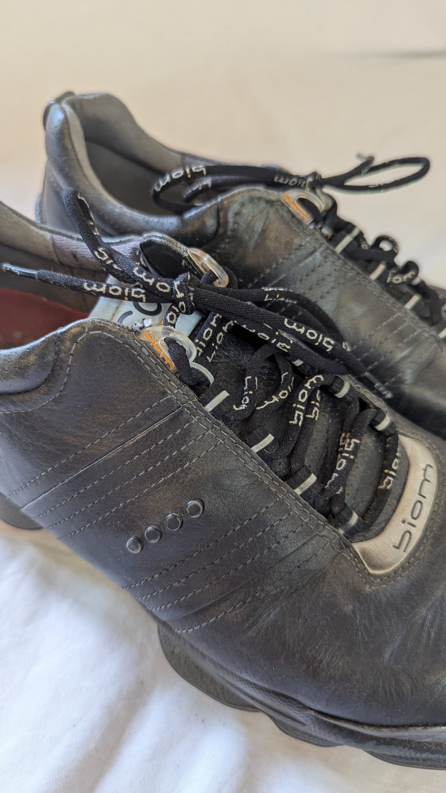 ECCO Biom Leather Walking Shoes
