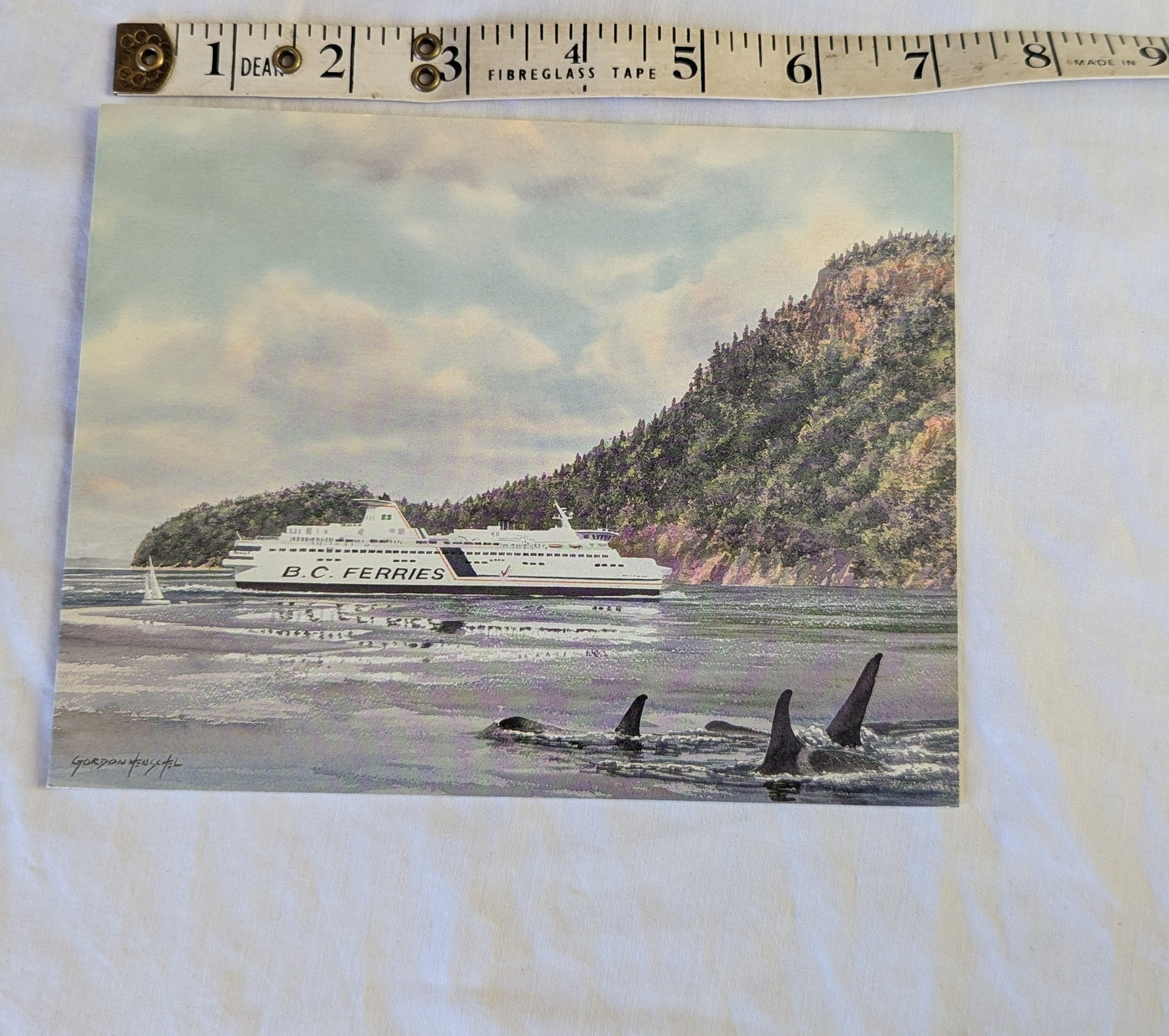 Gordon Henschel BC Ferries Orca Art Print Post Card
