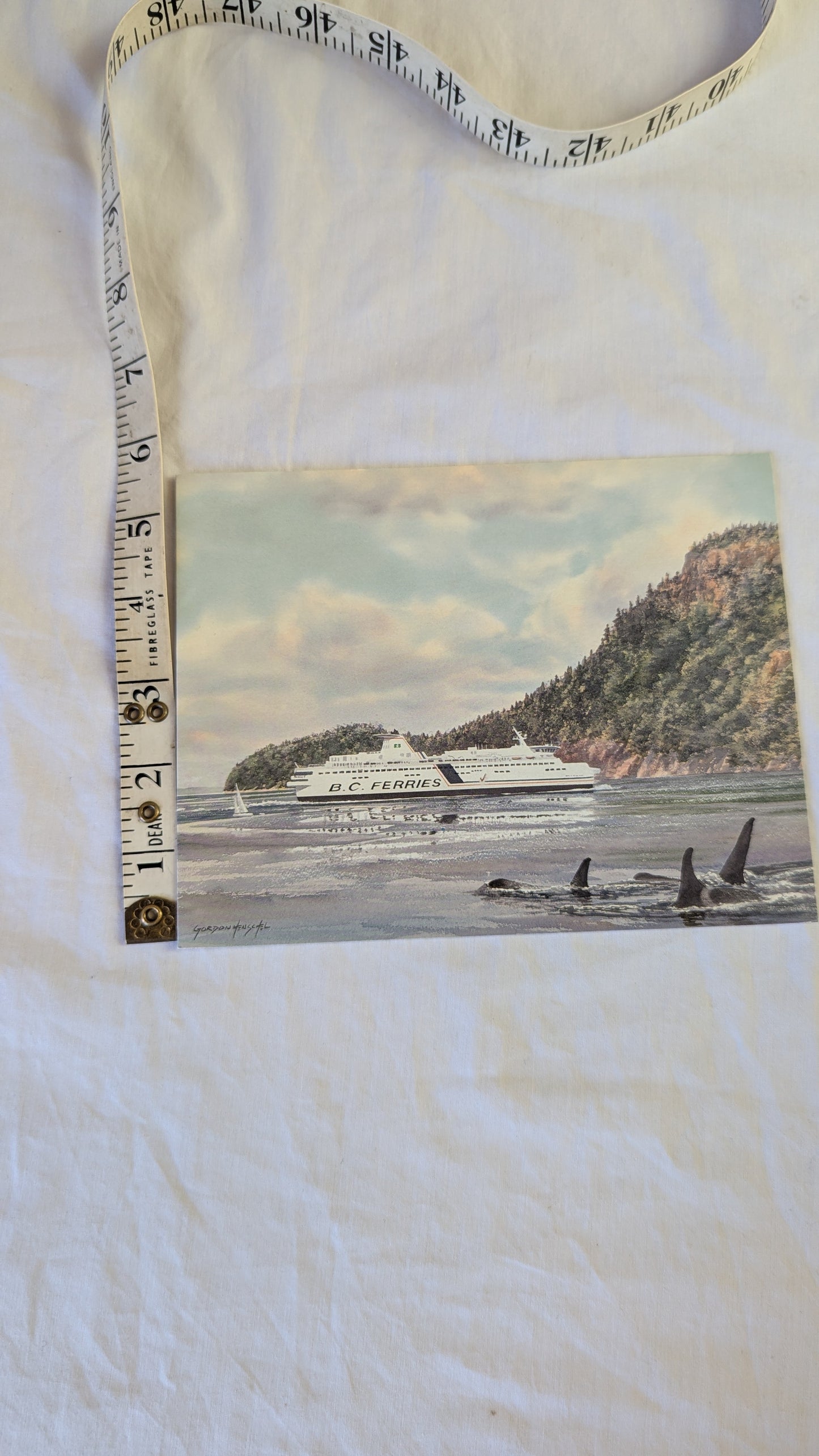 Gordon Henschel BC Ferries Orca Art Print Post Card