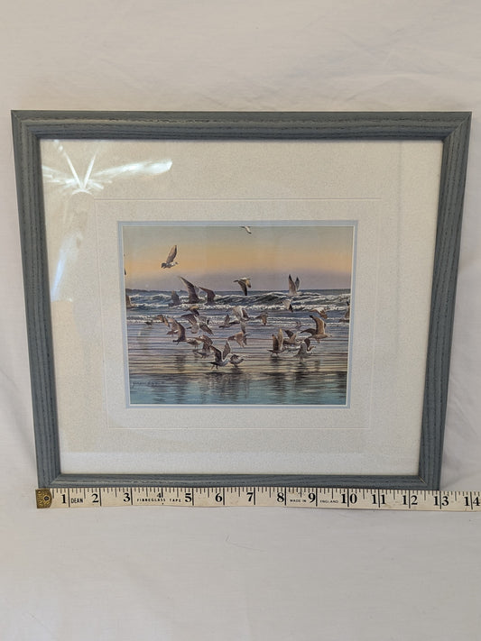 Gordon Henschel Framed and Signed Seagull Art Print